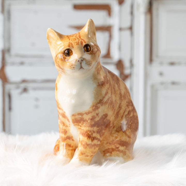 【Winstanley Cat ウィンスタンレイ キャット】キリッとした力のある目元が格好良い ジンジャー 茶トラ猫 /25L