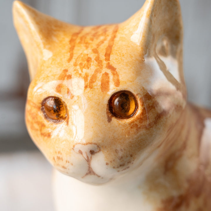 【Winstanley Cat ウィンスタンレイ キャット】キリッとした力のある目元が格好良い ジンジャー 茶トラ猫 /25L