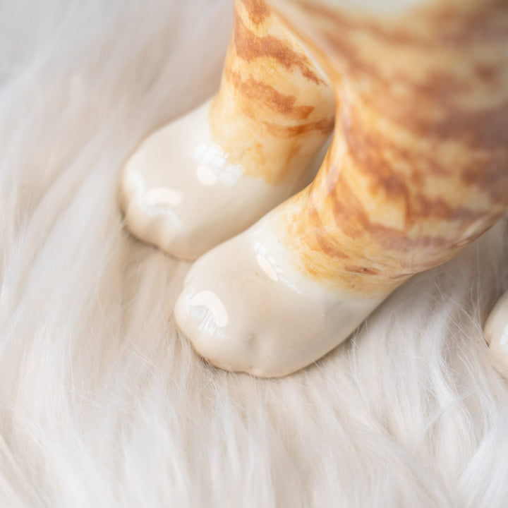 【Winstanley Cat ウィンスタンレイ キャット】キリッとした力のある目元が格好良い ジンジャー 茶トラ猫 /25L