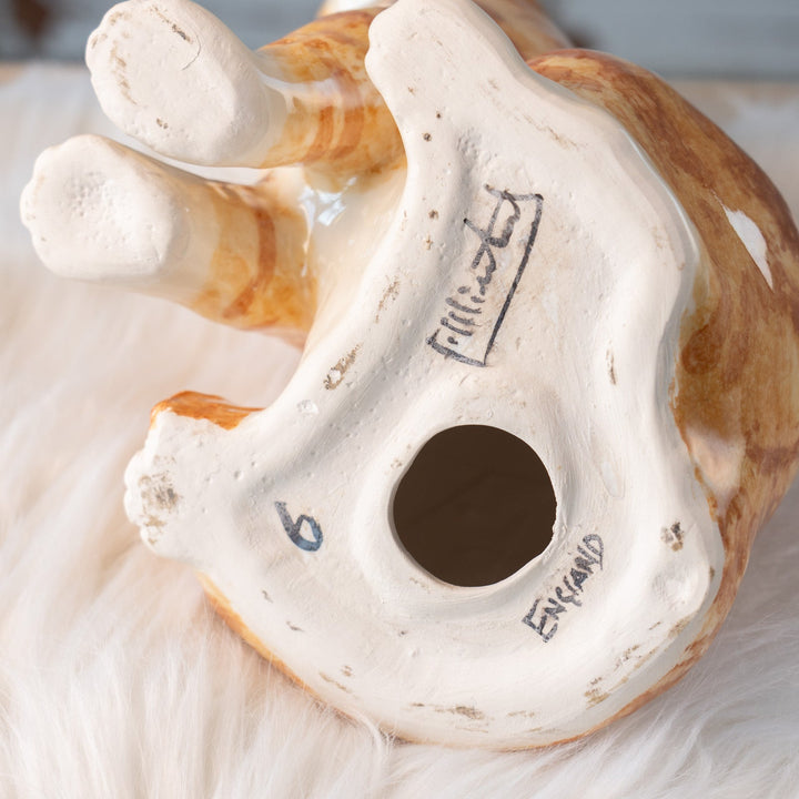 【Winstanley Cat ウィンスタンレイ キャット】キリッとした力のある目元が格好良い ジンジャー 茶トラ猫 /25L