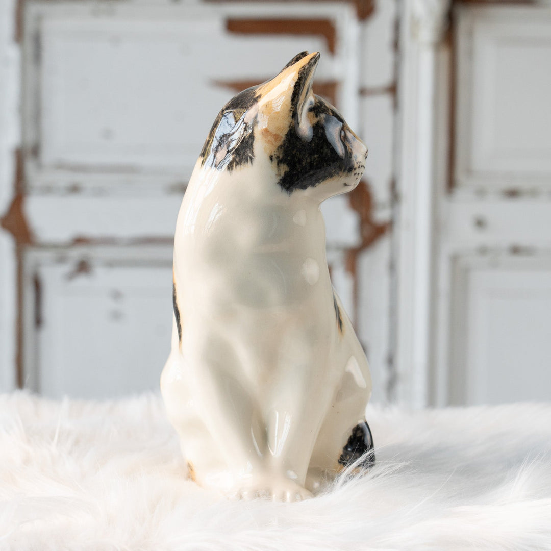 【Winstanley Cat ウィンスタンレイ キャット】おすまし顔でこちらを見つめる キャリコ 三毛猫 /25L