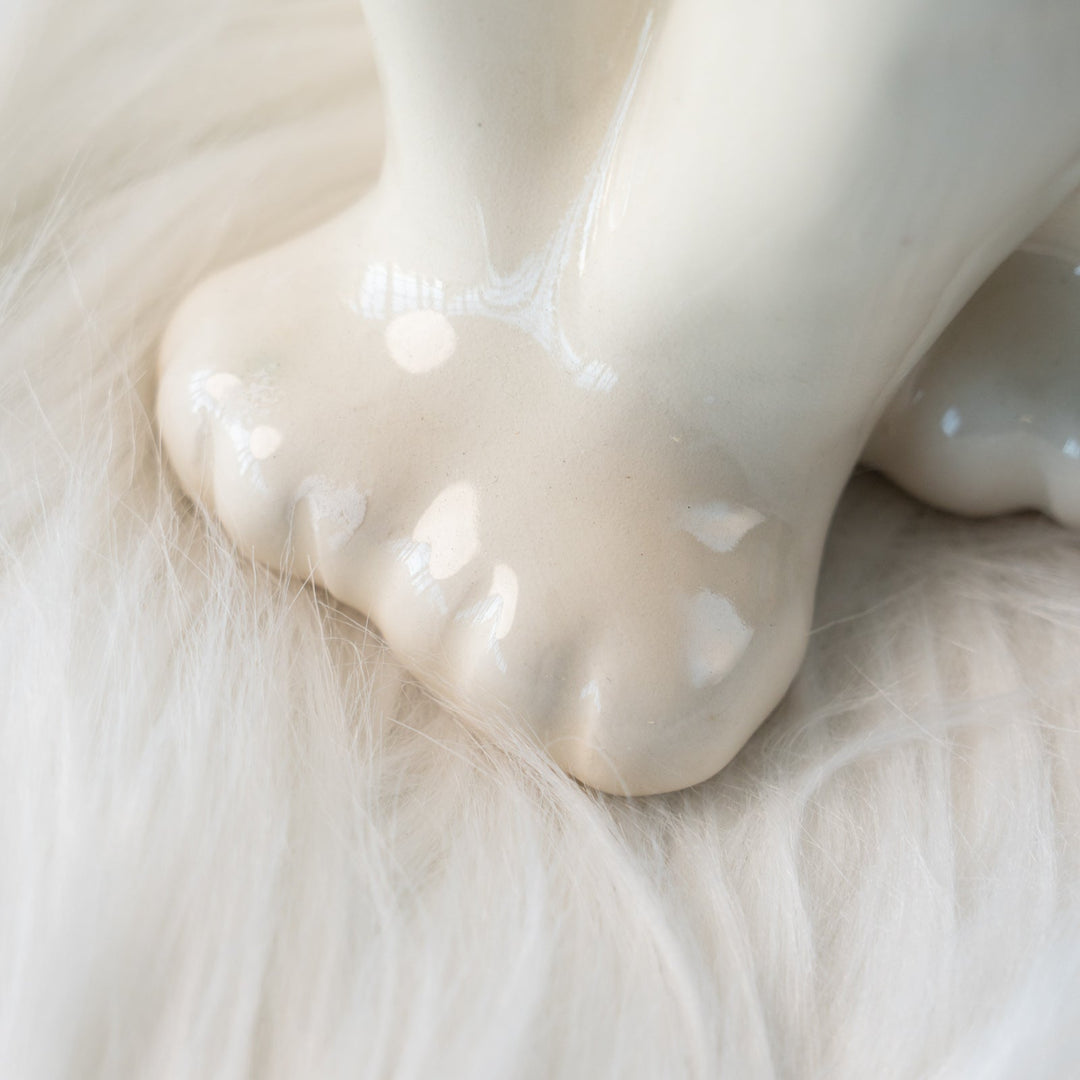 【Winstanley Cat ウィンスタンレイ キャット】おすまし顔でこちらを見つめる キャリコ 三毛猫 /25L