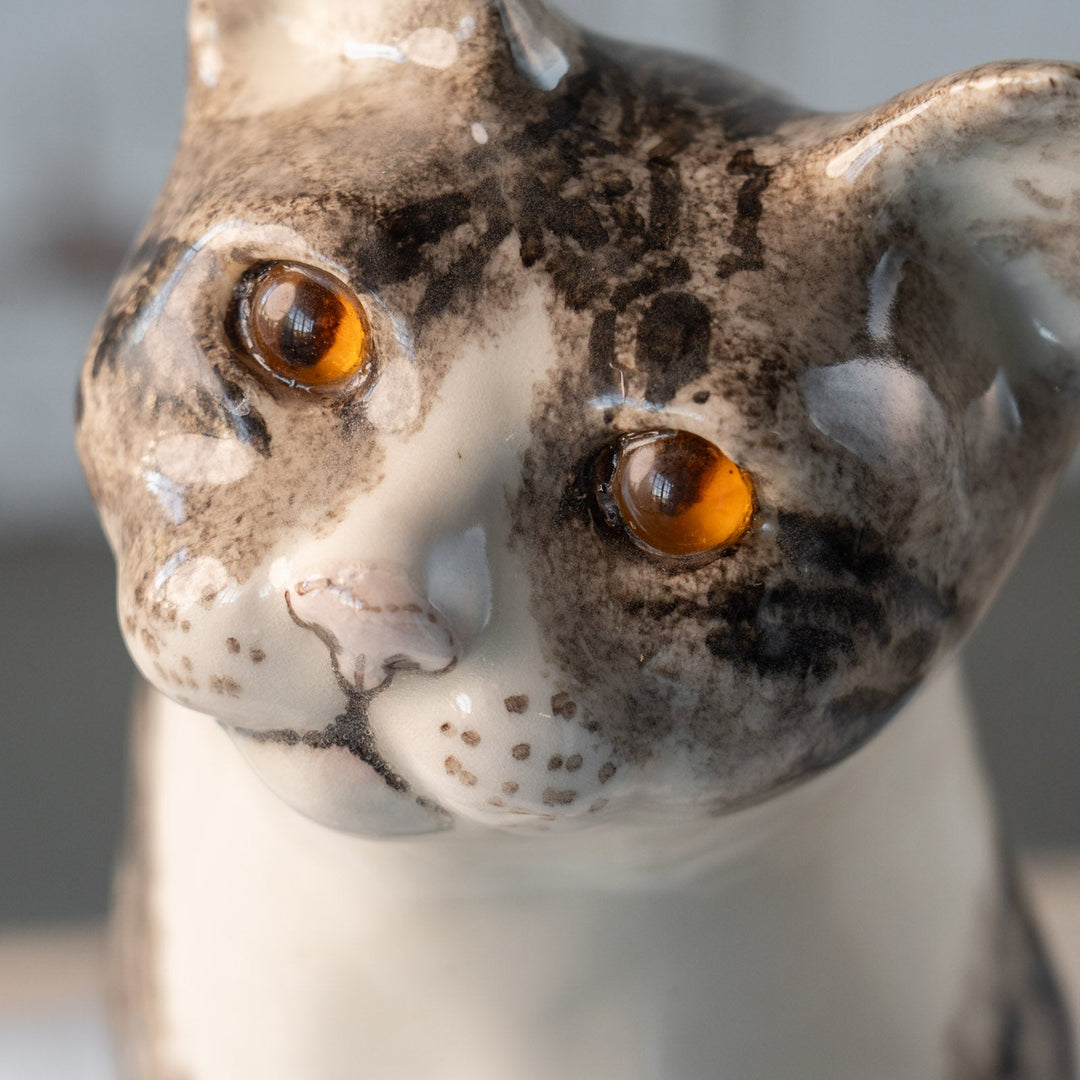 【Winstanley Cat ウィンスタンレイ キャット】ぷっくりしたひげ袋が魅力的 シルバータビー サバトラ猫 /25L