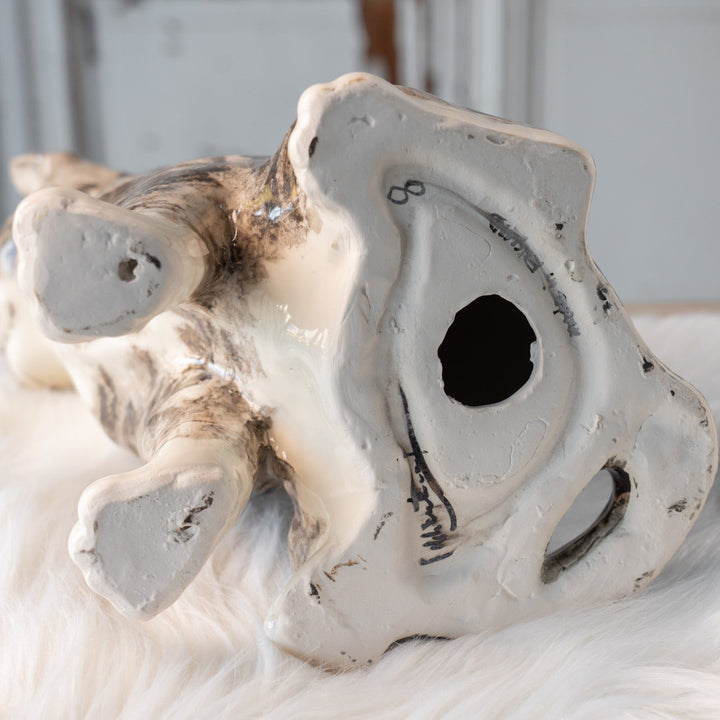 【Winstanley Cat ウィンスタンレイ キャット】ぷっくりしたひげ袋が魅力的 シルバータビー サバトラ猫 /25L