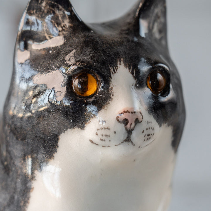 【Winstanley Cat ウィンスタンレイ キャット】遠くを見つめる物憂げな表情が印象的 タキシード 白黒猫 /25L