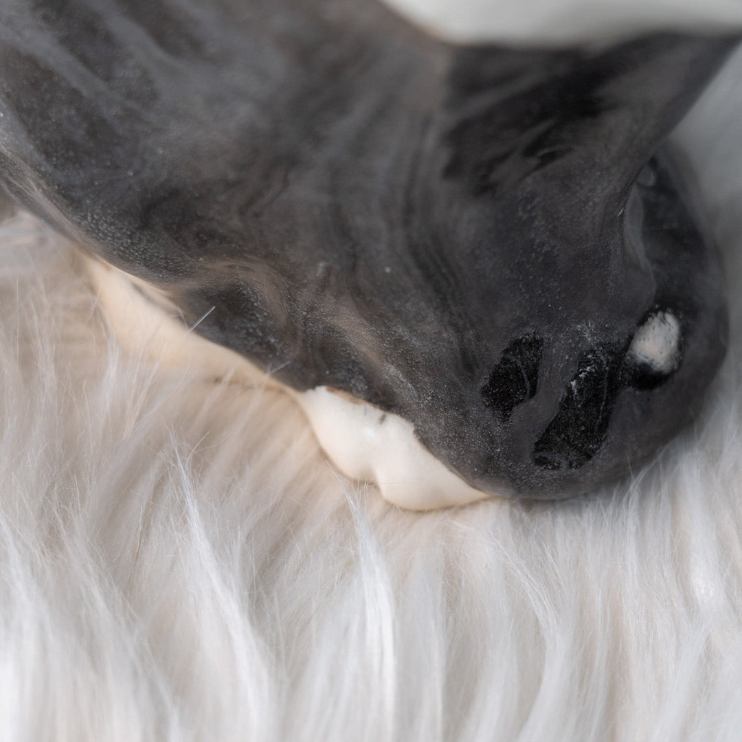 【Winstanley Cat ウィンスタンレイ キャット】遠くを見つめる物憂げな表情が印象的 タキシード 白黒猫 /25L