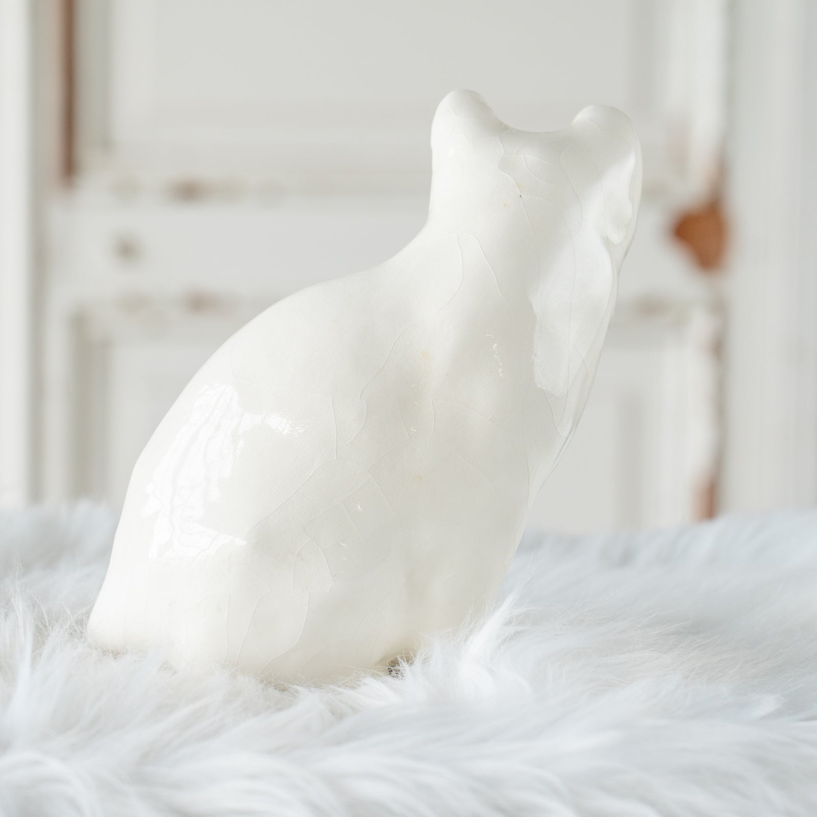 ウィンスタンレイキャット（ケンジントンキャット）オッドアイ Winstanley Cat ウィンスタンレイ キャット】真っ白なボディに