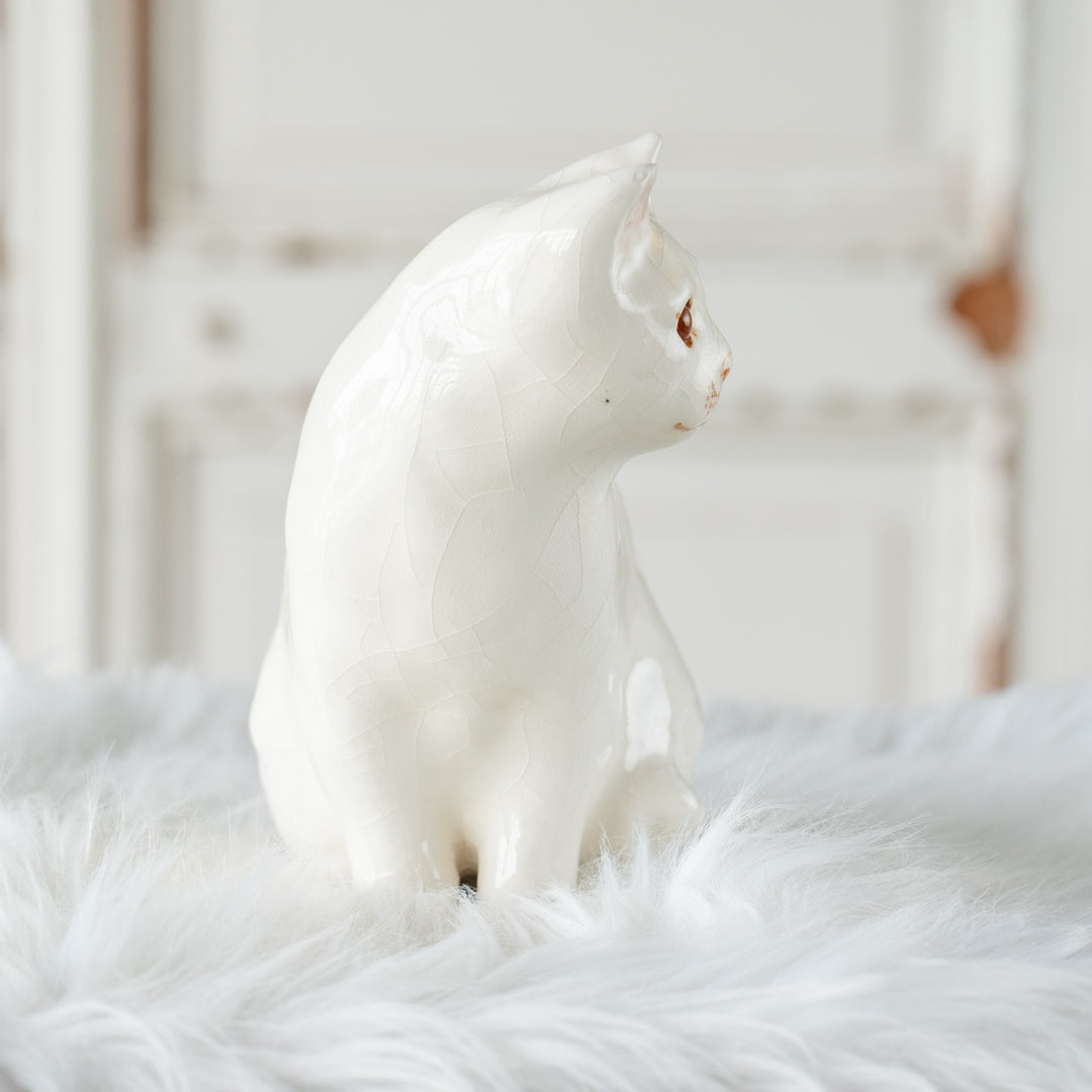 【Winstanley Cat ウィンスタンレイ キャット】真っ白なボディにオッドアイが美しい スノーウィ 白猫 /26E