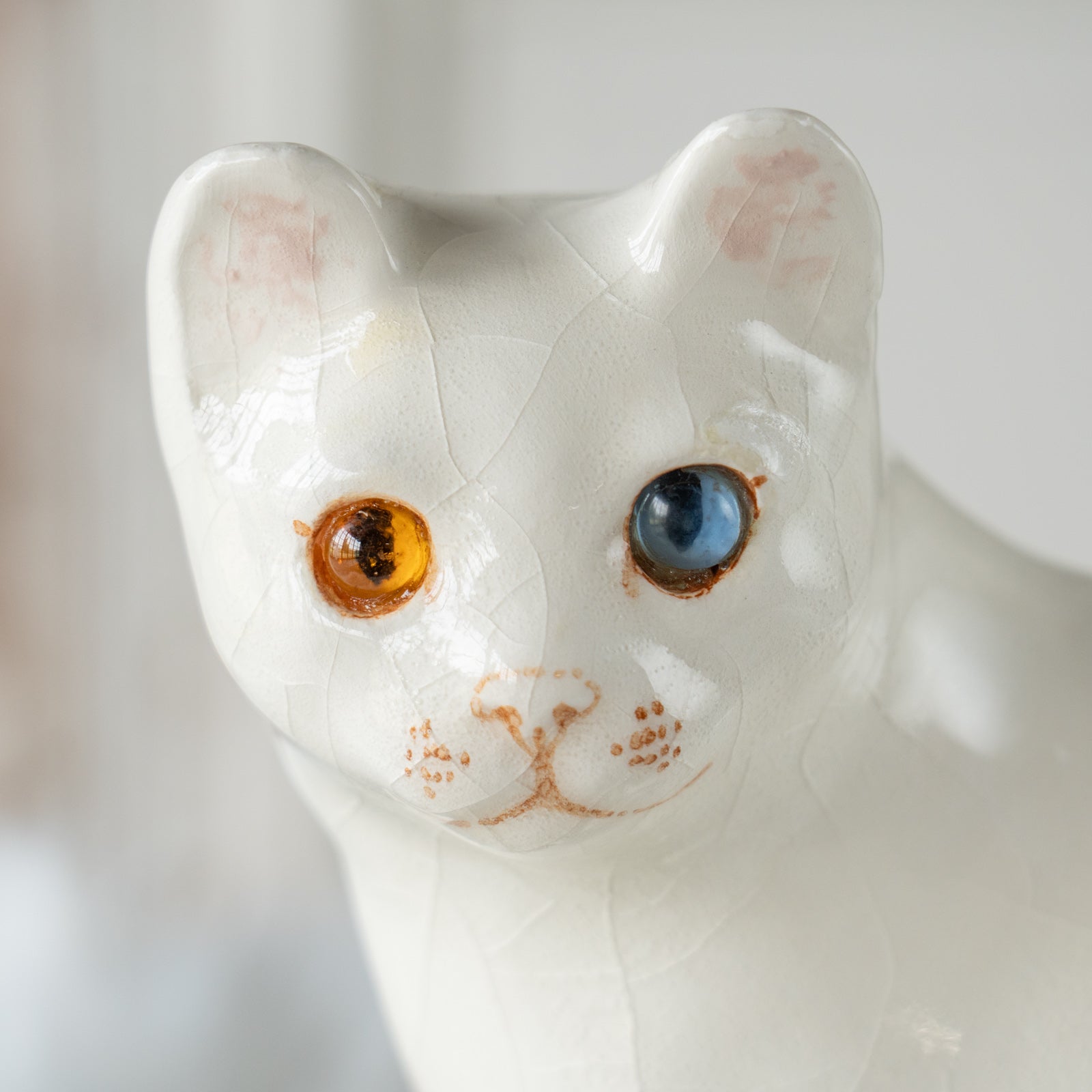 ウィンスタンレイキャット（ケンジントンキャット）オッドアイ Winstanley Cat ウィンスタンレイ キャット】真っ白なボディに