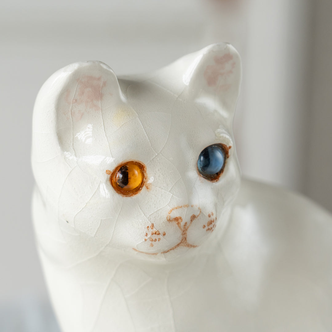 【Winstanley Cat ウィンスタンレイ キャット】真っ白なボディにオッドアイが美しい スノーウィ 白猫 /26E