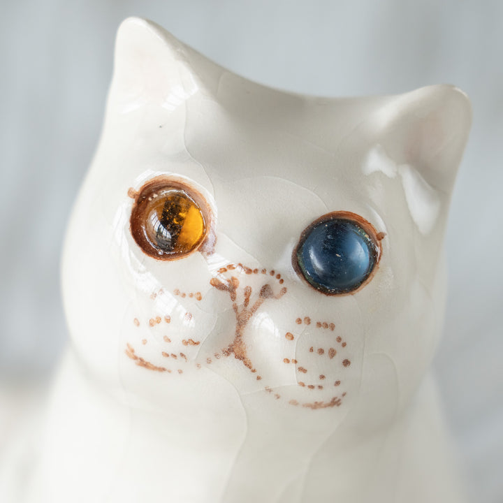 【Winstanley Cat ウィンスタンレイ キャット】どっしりしたフォルムがたまらない可愛さ オッドアイ スノーウィ 白猫 /26E