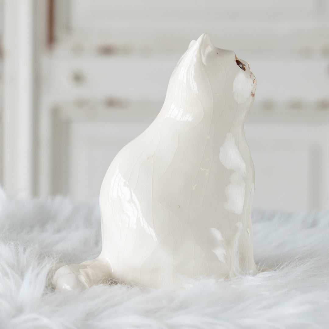 【Winstanley Cat ウィンスタンレイ キャット】どっしりしたフォルムがたまらない可愛さ オッドアイ スノーウィ 白猫 /26E