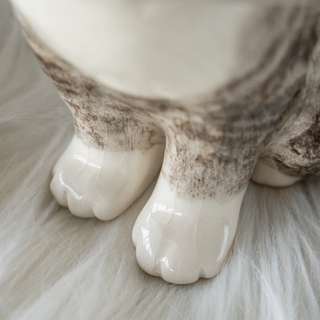 【Winstanley Cat ウィンスタンレイ キャット】座ってこちらを見つめる表情が愛らしい シルバータビー サバトラ猫 /26E