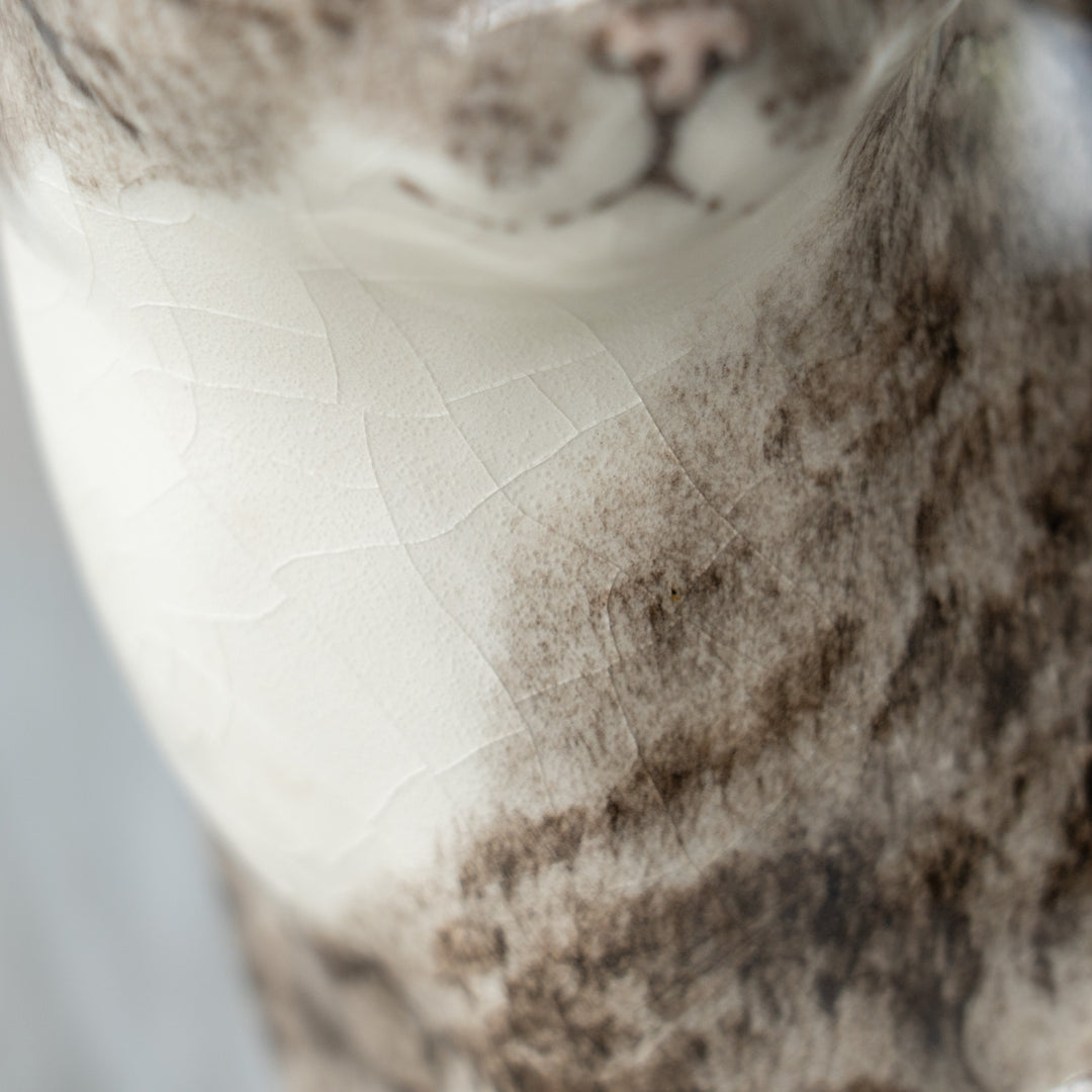 【Winstanley Cat ウィンスタンレイ キャット】座ってこちらを見つめる表情が愛らしい シルバータビー サバトラ猫 /26E