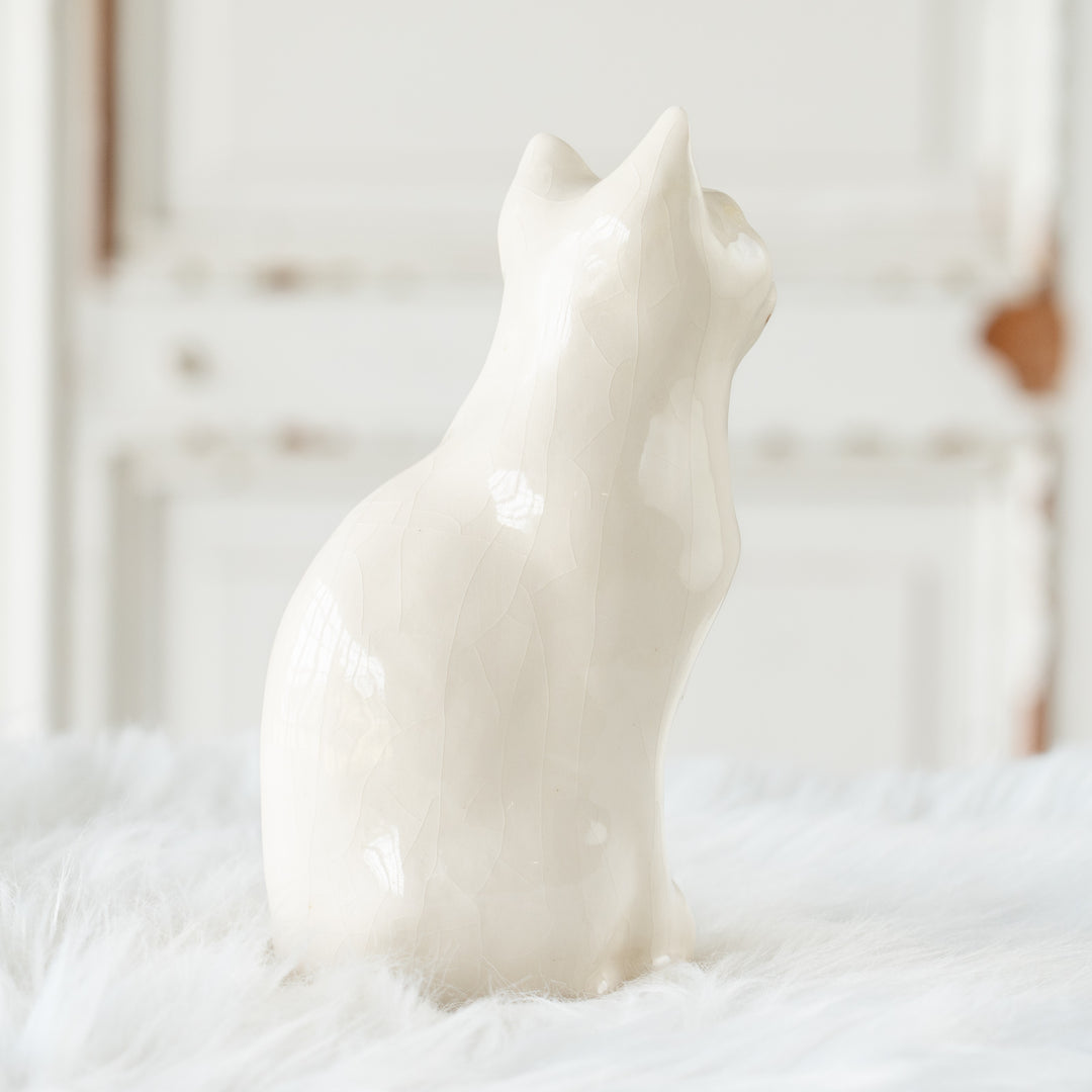 【Winstanley Cat ウィンスタンレイ キャット】小首をかしげた不思議そうな表情が魅力 オッドアイ スノーウィ 白猫 /26E