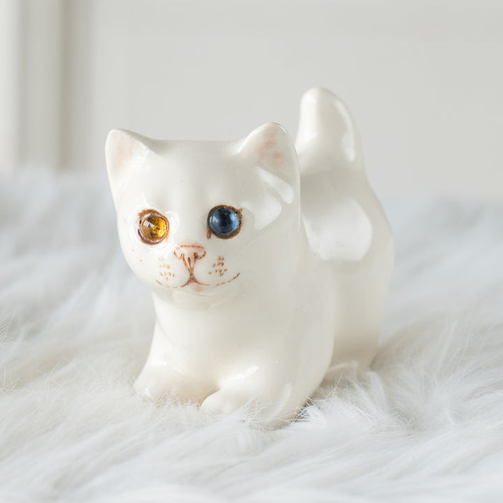 【Winstanley Cat ウィンスタンレイ キャット】クリームパンの様な手が愛らしい オッドアイ スノーウィ 白猫 /26E