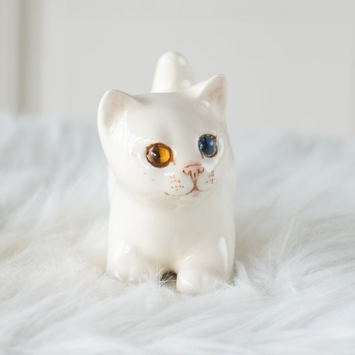 【Winstanley Cat ウィンスタンレイ キャット】クリームパンの様な手が愛らしい オッドアイ スノーウィ 白猫 /26E