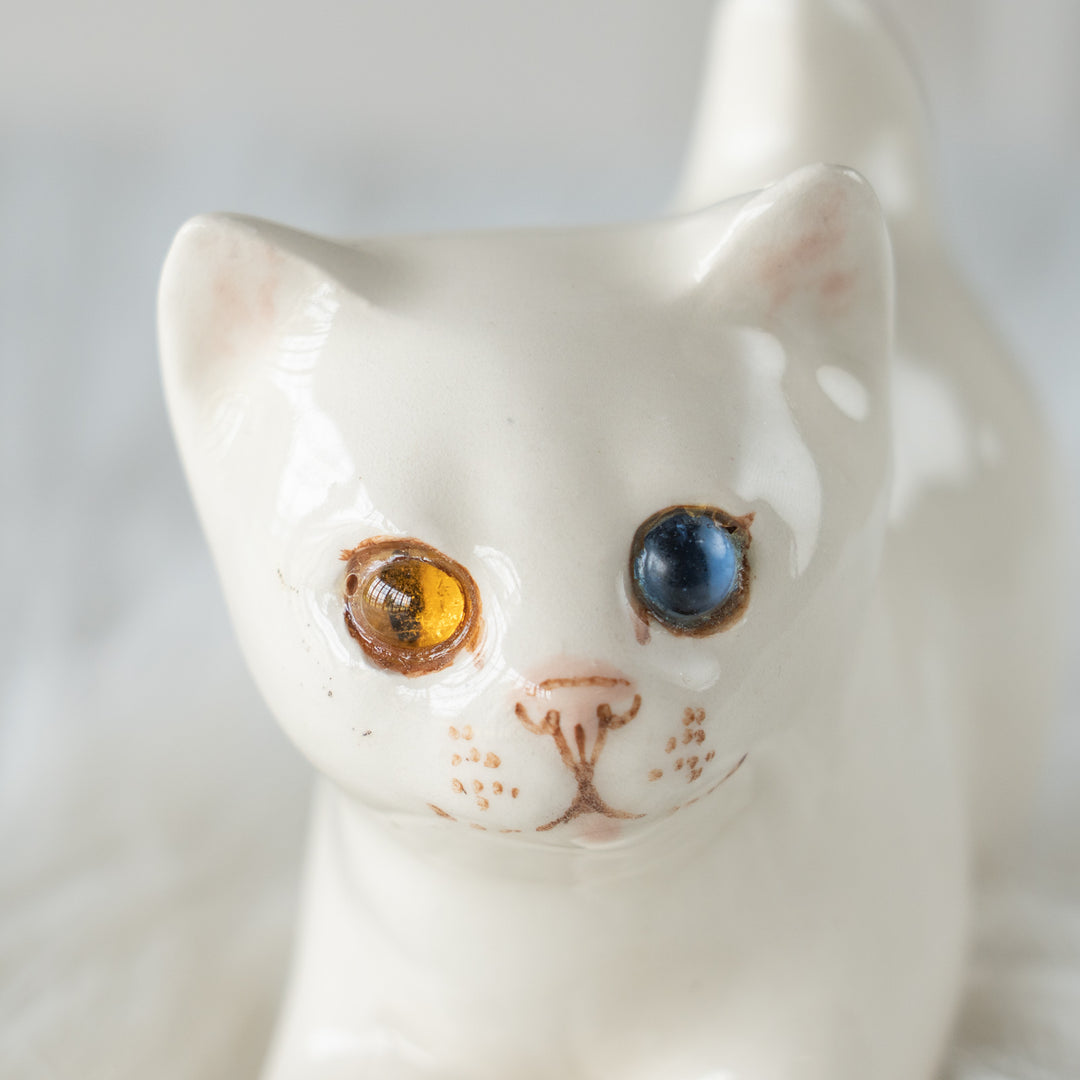 【Winstanley Cat ウィンスタンレイ キャット】クリームパンの様な手が愛らしい オッドアイ スノーウィ 白猫 /26E