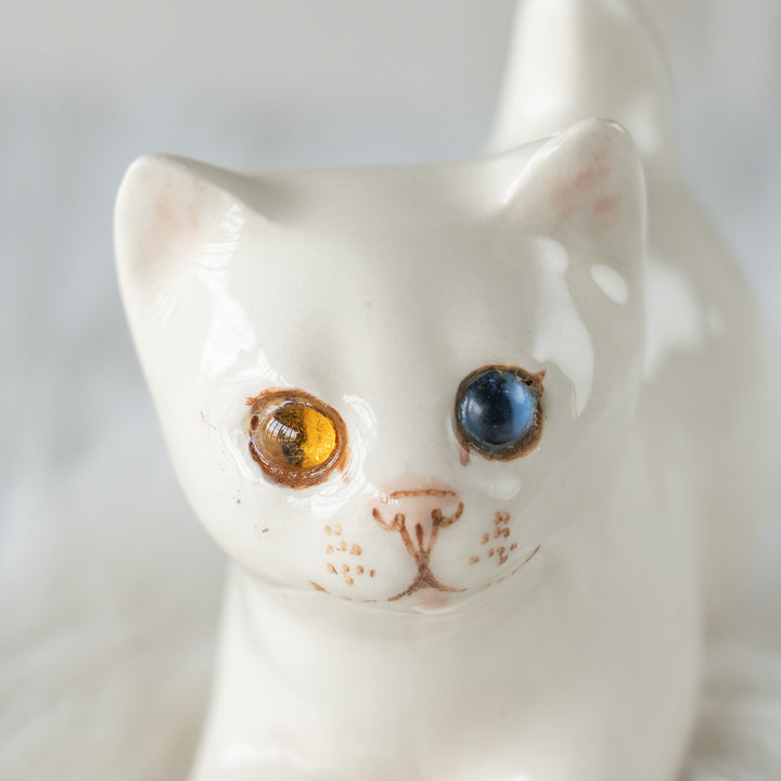 【Winstanley Cat ウィンスタンレイ キャット】クリームパンの様な手が愛らしい オッドアイ スノーウィ 白猫 /26E