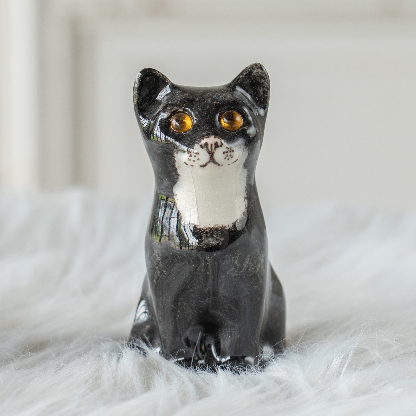 Winstanley Cat ウィンスタンレイ キャット】まん丸お目目が特徴的