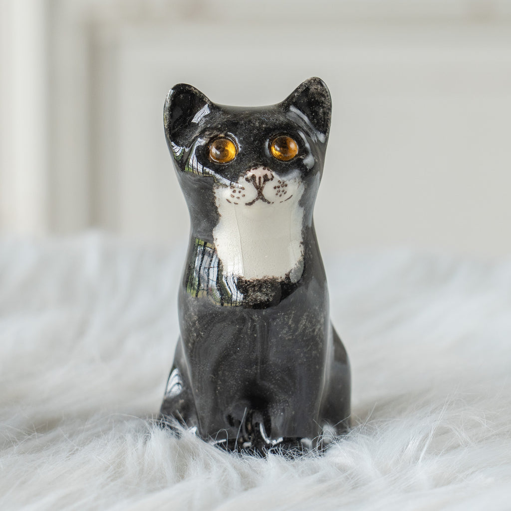 Winstanley Cat ウィンスタンレイ キャット】まん丸お目目が特徴的