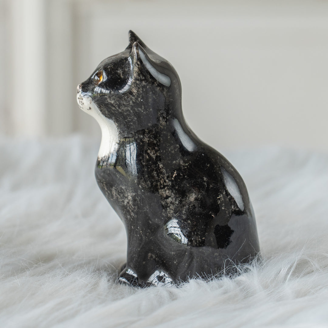 【Winstanley Cat ウィンスタンレイ キャット】まん丸お目目が特徴的 タキシード 白黒猫 /26E