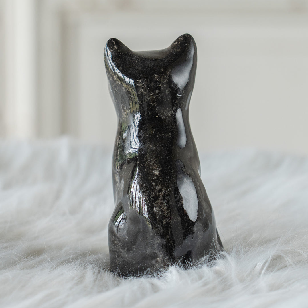 【Winstanley Cat ウィンスタンレイ キャット】まん丸お目目が特徴的 タキシード 白黒猫 /26E