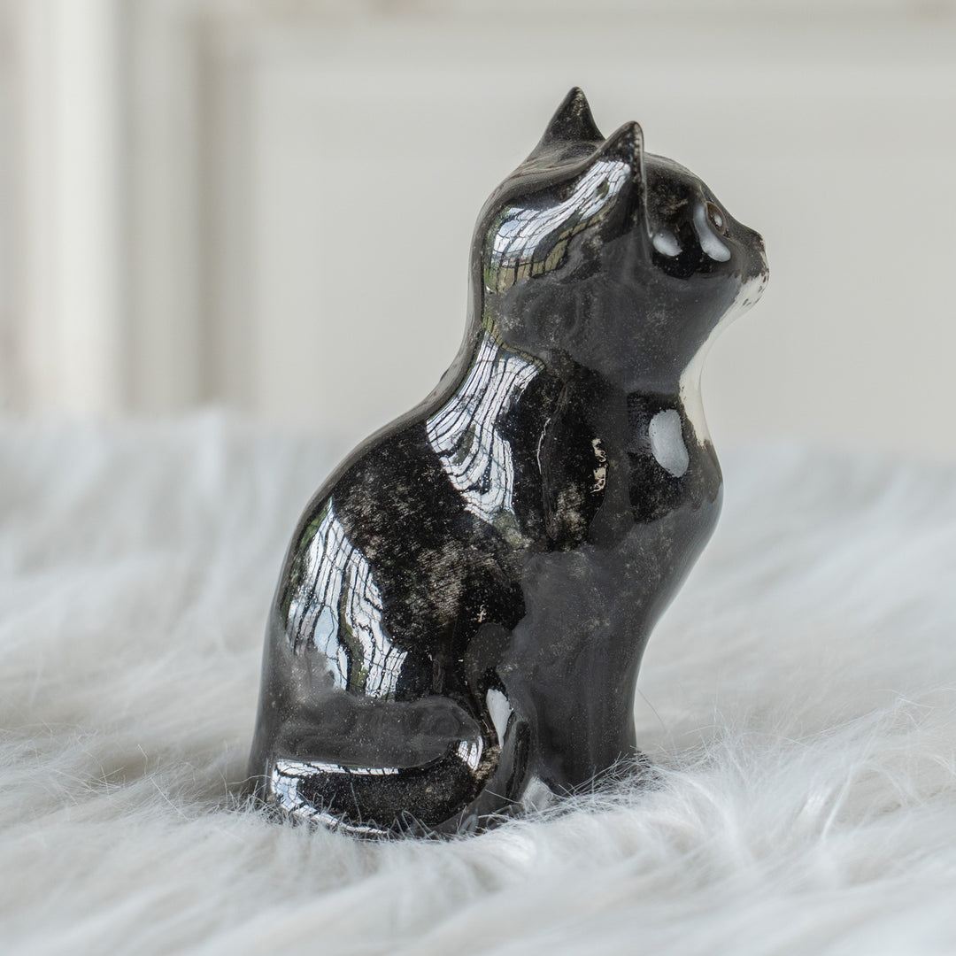 【Winstanley Cat ウィンスタンレイ キャット】まん丸お目目が特徴的 タキシード 白黒猫 /26E