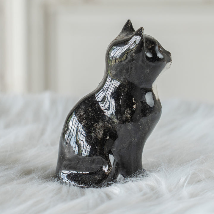 【Winstanley Cat ウィンスタンレイ キャット】まん丸お目目が特徴的 タキシード 白黒猫 /26E
