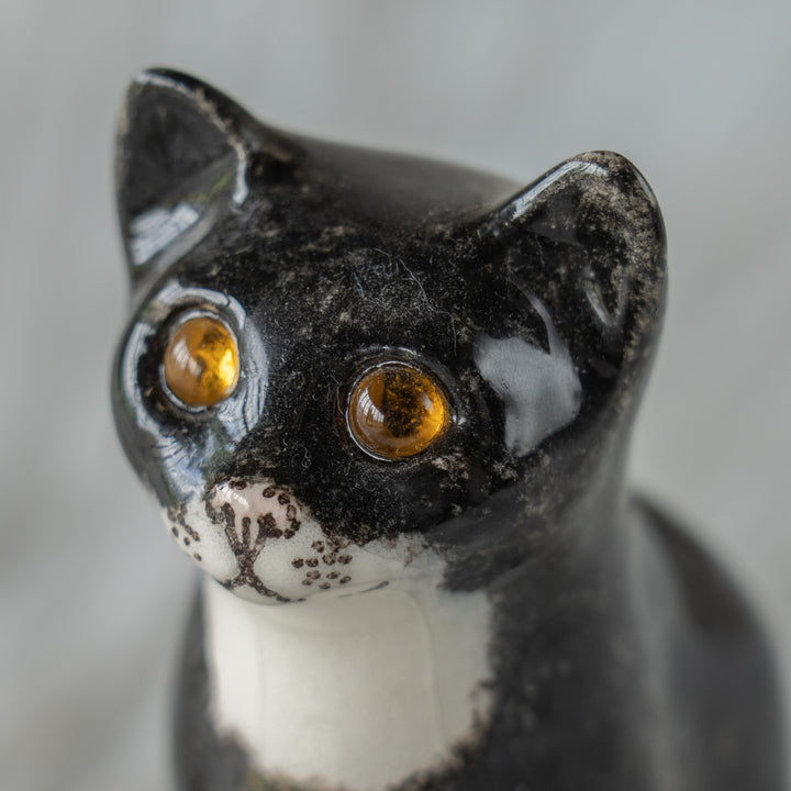 【Winstanley Cat ウィンスタンレイ キャット】まん丸お目目が特徴的 タキシード 白黒猫 /26E