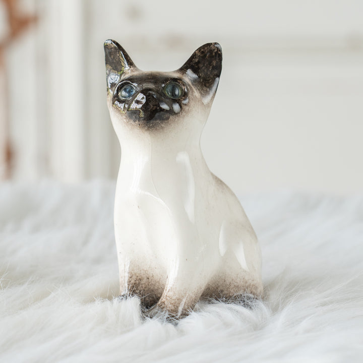 【Winstanley Cat ウィンスタンレイ キャット】大きな耳が広がるシャープなシルエット ブルーアイ サイアミーズ シャム猫 /26E