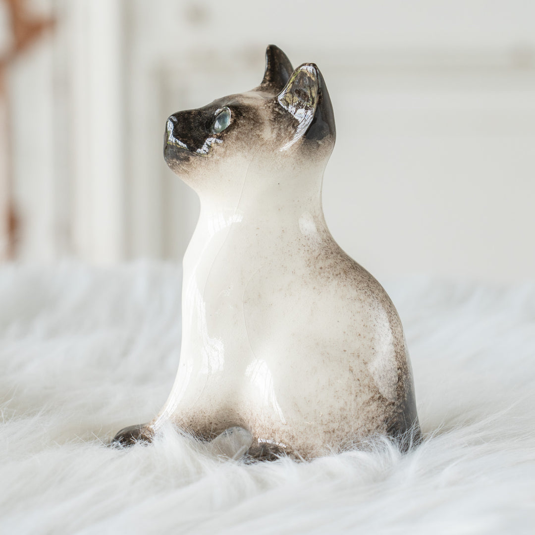 【Winstanley Cat ウィンスタンレイ キャット】大きな耳が広がるシャープなシルエット ブルーアイ サイアミーズ シャム猫 /26E