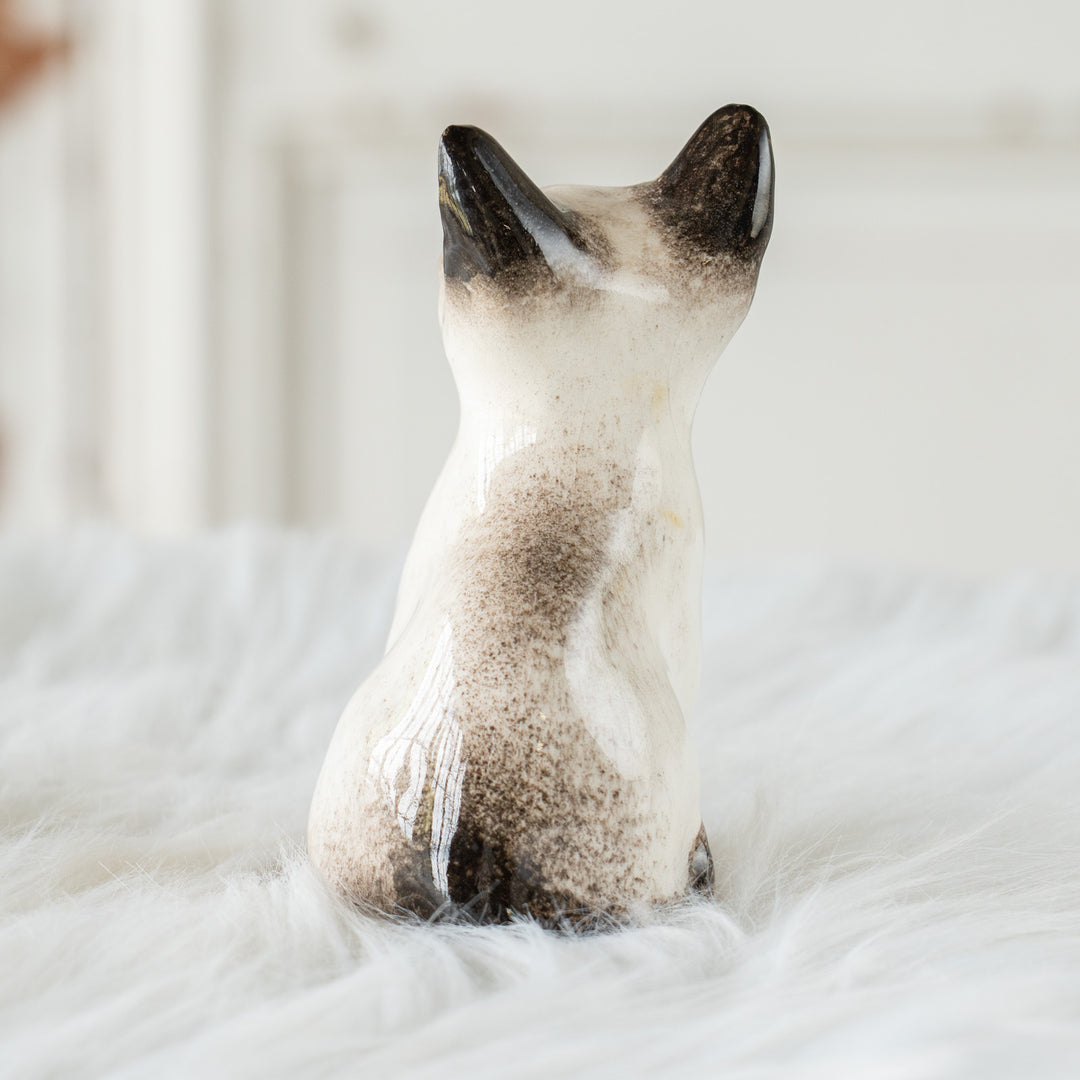 【Winstanley Cat ウィンスタンレイ キャット】大きな耳が広がるシャープなシルエット ブルーアイ サイアミーズ シャム猫 /26E