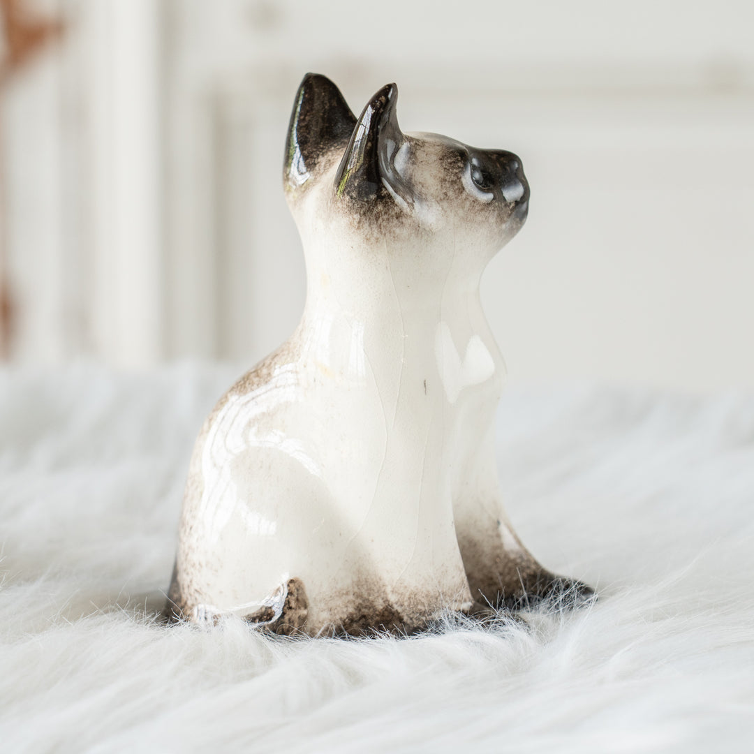 【Winstanley Cat ウィンスタンレイ キャット】大きな耳が広がるシャープなシルエット ブルーアイ サイアミーズ シャム猫 /26E