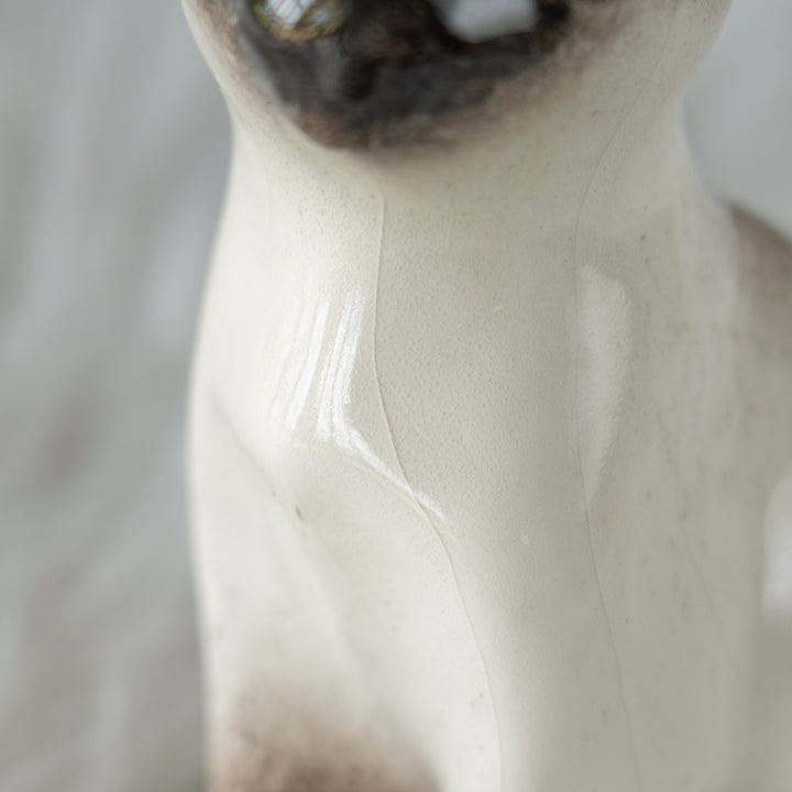 【Winstanley Cat ウィンスタンレイ キャット】大きな耳が広がるシャープなシルエット ブルーアイ サイアミーズ シャム猫 /26E