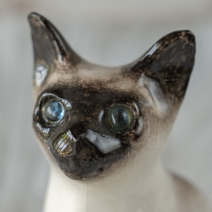 【Winstanley Cat ウィンスタンレイ キャット】大きな耳が広がるシャープなシルエット ブルーアイ サイアミーズ シャム猫 /26E