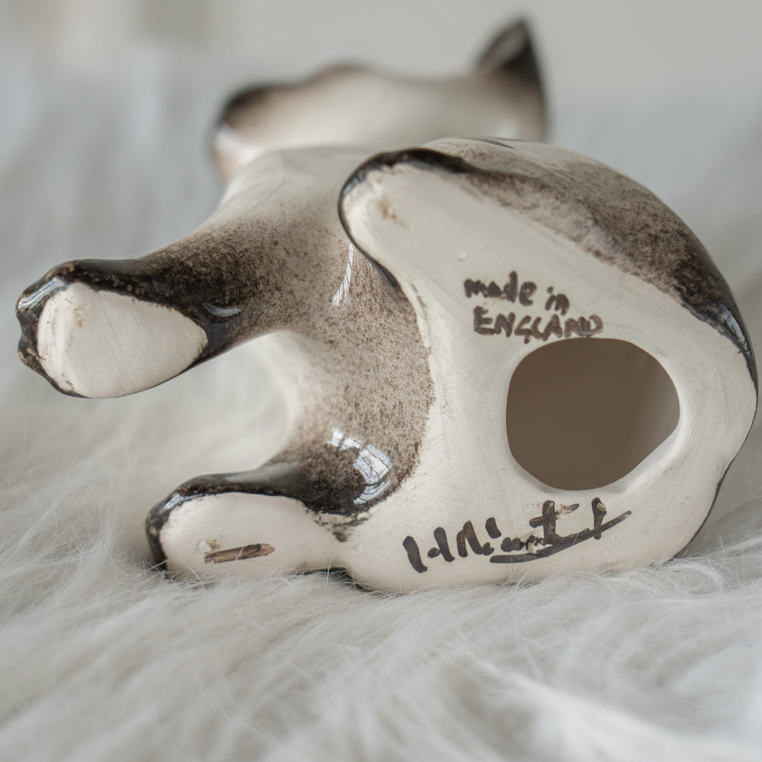 【Winstanley Cat ウィンスタンレイ キャット】大きな耳が広がるシャープなシルエット ブルーアイ サイアミーズ シャム猫 /26E