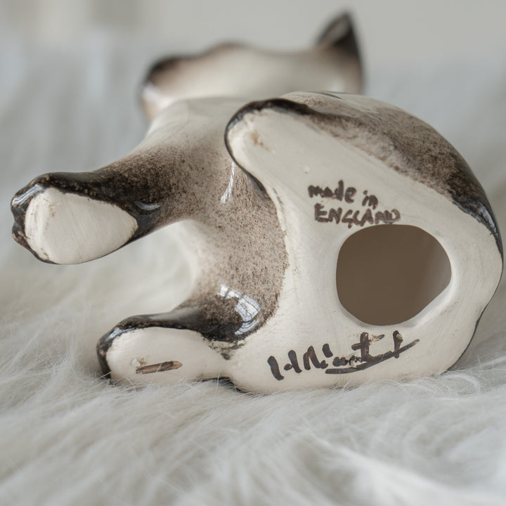 【Winstanley Cat ウィンスタンレイ キャット】大きな耳が広がるシャープなシルエット ブルーアイ サイアミーズ シャム猫 /26E