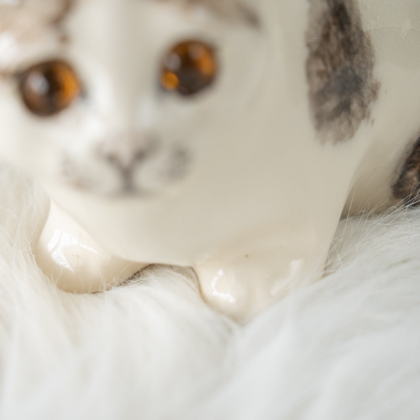 Winstanley Cat ウィンスタンレイ キャット】姿勢を低くして獲物を狙う