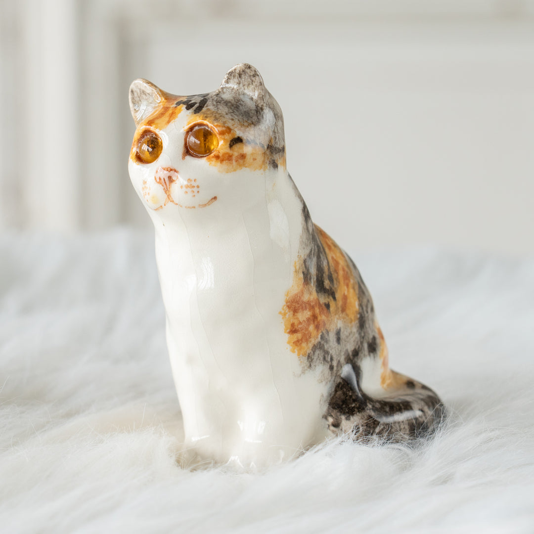 【Winstanley Cat ウィンスタンレイ キャット】つぶらな瞳でじっと見つめる キャリコ 三毛猫 /26E