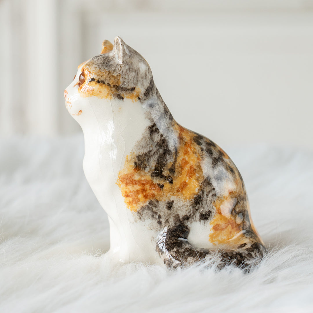 【Winstanley Cat ウィンスタンレイ キャット】つぶらな瞳でじっと見つめる キャリコ 三毛猫 /26E