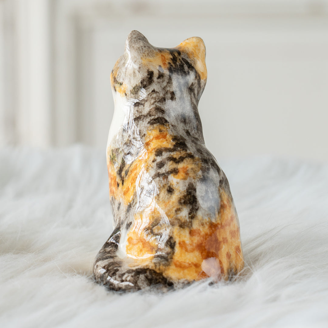【Winstanley Cat ウィンスタンレイ キャット】つぶらな瞳でじっと見つめる キャリコ 三毛猫 /26E
