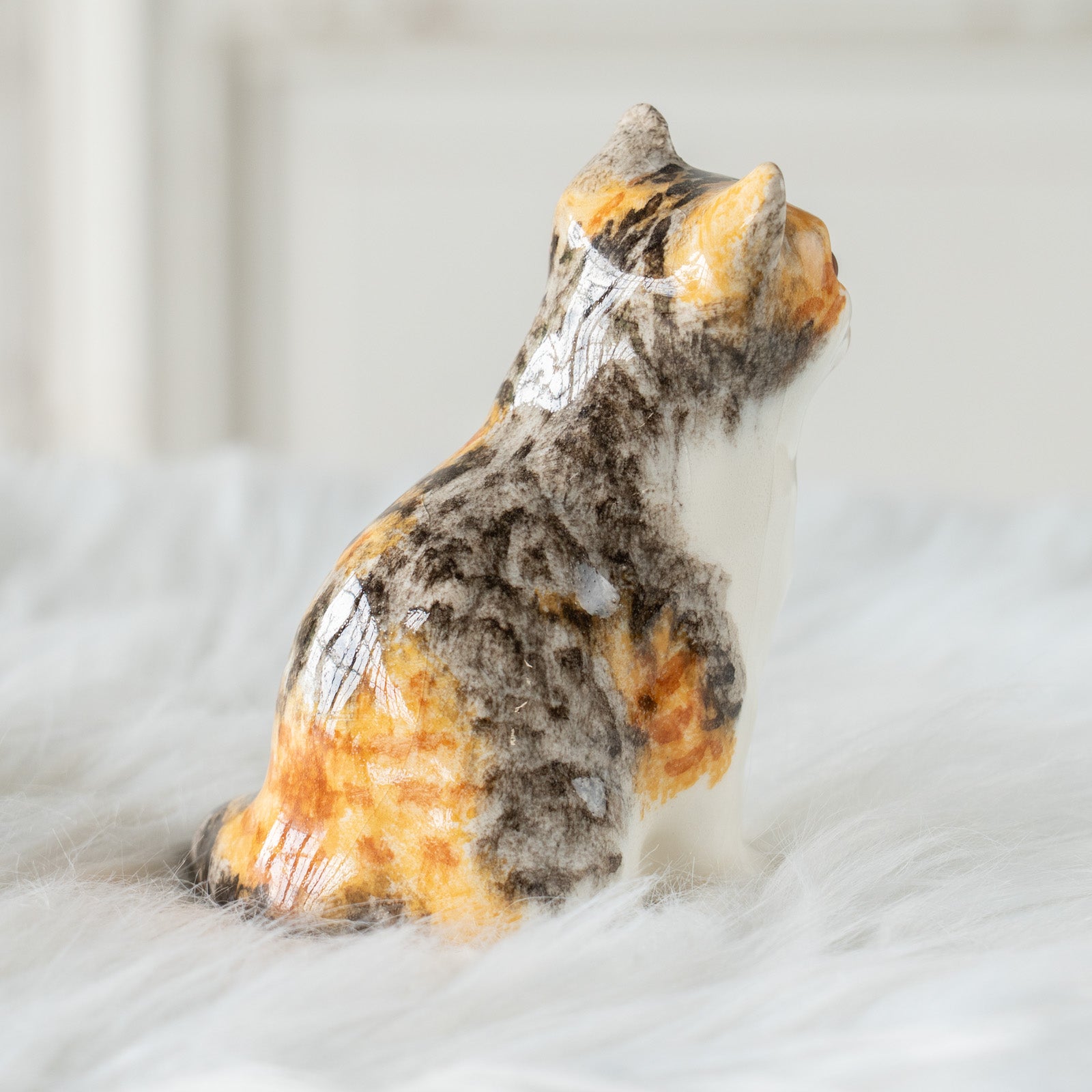 Winstanley Cat ウィンスタンレイ キャット】つぶらな瞳でじっと