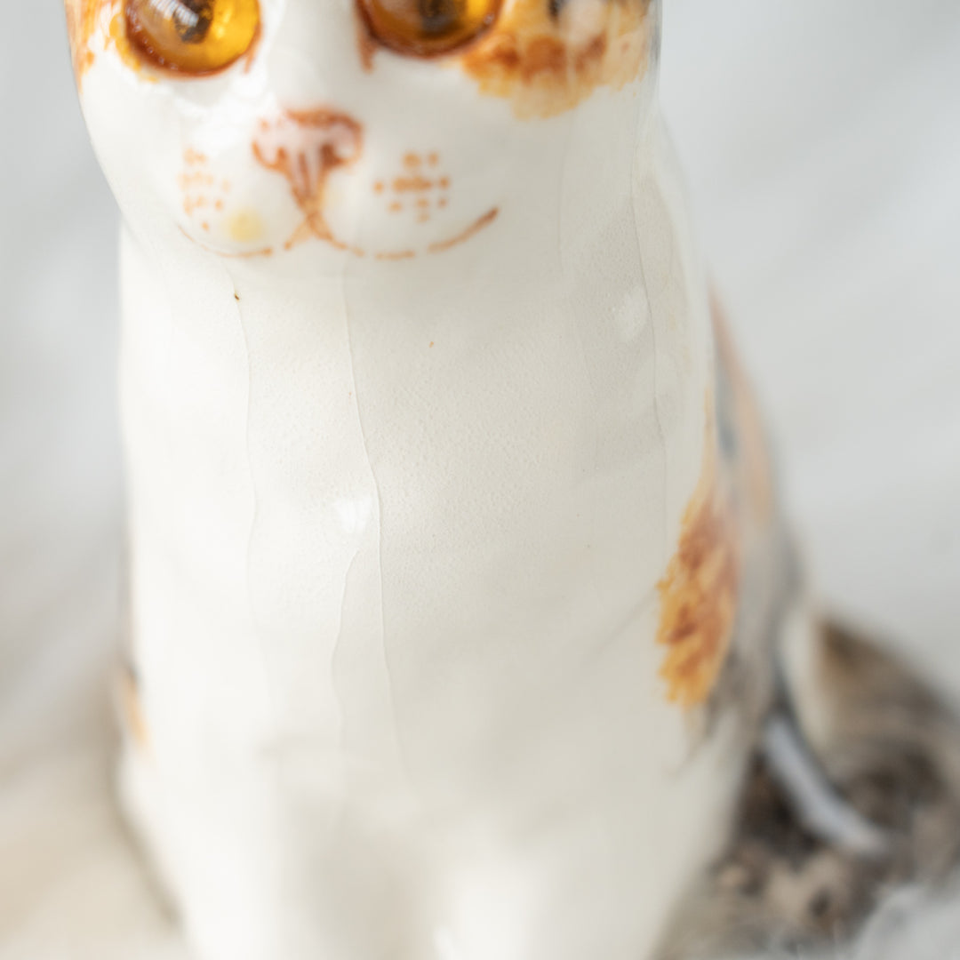 【Winstanley Cat ウィンスタンレイ キャット】つぶらな瞳でじっと見つめる キャリコ 三毛猫 /26E