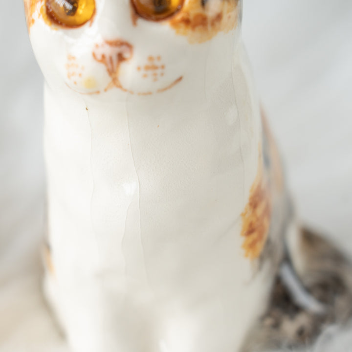 【Winstanley Cat ウィンスタンレイ キャット】つぶらな瞳でじっと見つめる キャリコ 三毛猫 /26E