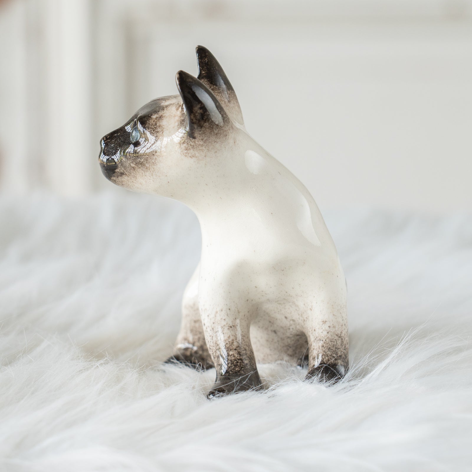 Winstanley Cat ウィンスタンレイ キャット】シャープな三角形の顔が