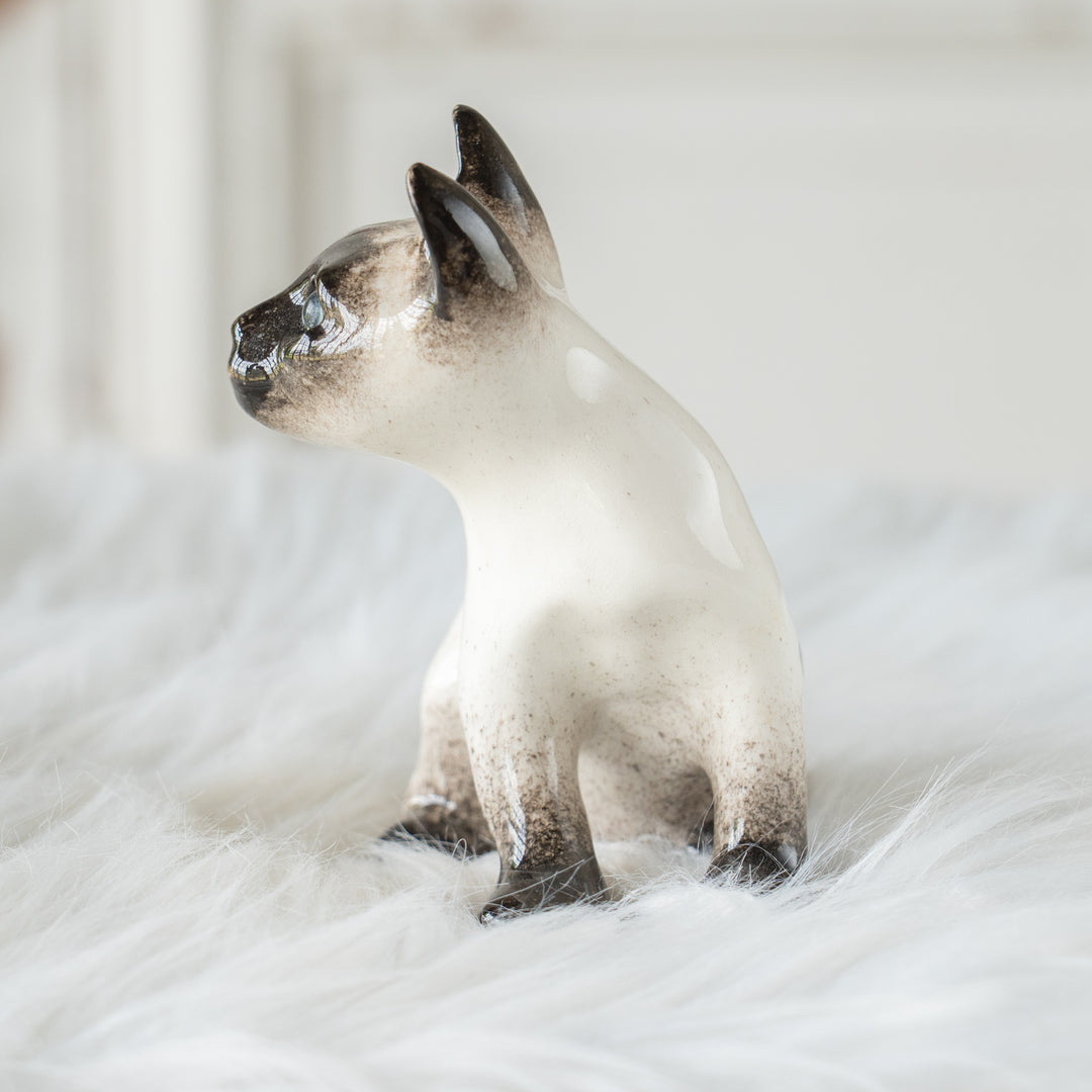 【Winstanley Cat ウィンスタンレイ キャット】シャープな三角形の顔が上品 ブルーアイ サイアミーズ シャム猫 /26E