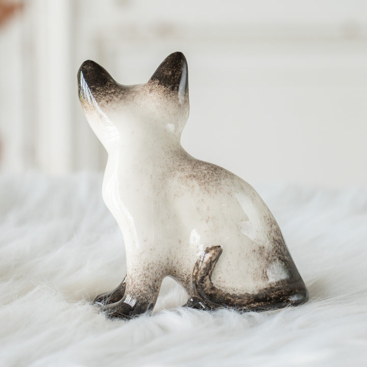 【Winstanley Cat ウィンスタンレイ キャット】シャープな三角形の顔が上品 ブルーアイ サイアミーズ シャム猫 /26E