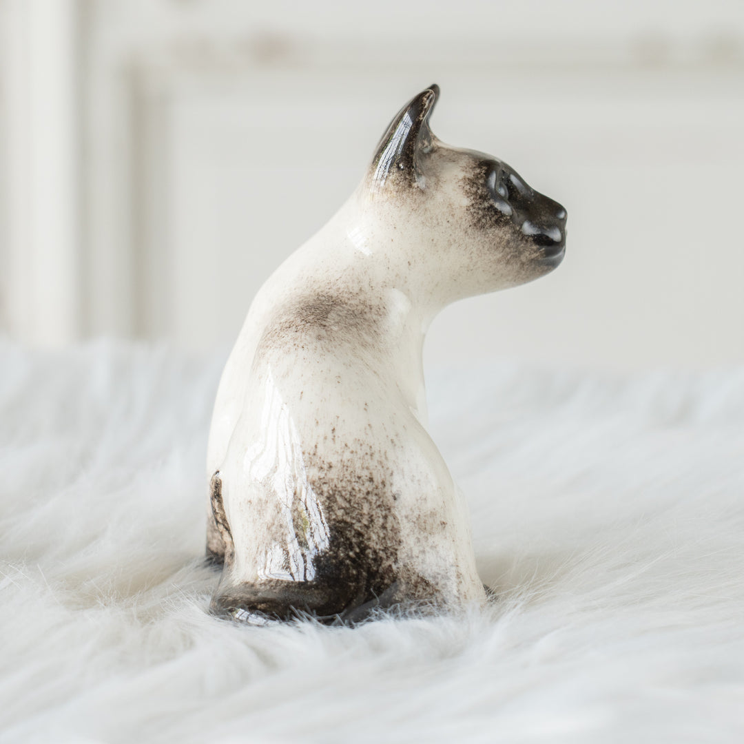 【Winstanley Cat ウィンスタンレイ キャット】シャープな三角形の顔が上品 ブルーアイ サイアミーズ シャム猫 /26E