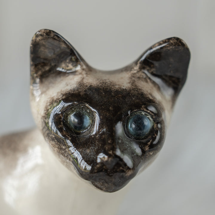 【Winstanley Cat ウィンスタンレイ キャット】シャープな三角形の顔が上品 ブルーアイ サイアミーズ シャム猫 /26E
